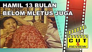 BUNTING 13 BULAN BELUM LAHIRAN JUGA [upl. by Jorge145]