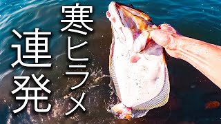 小座布団ヒラメを釣ったルアーと釣り方【ヒラメ釣り】 [upl. by Billie307]