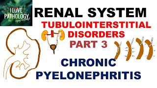 CHRONIC PYELONEPHRITIS  PATHOLOGY [upl. by Brownley85]