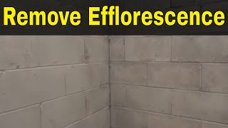 How To Remove Efflorescence EasilyFull Tutorial [upl. by Anrol]