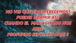 Sea la paz Himno con letra [upl. by Acinyt]