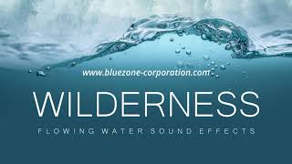 Wilderness  Flowing Water Sound Effects  Stream Sounds  River Sounds  Waterfall Ambiences [upl. by Enyala865]