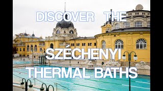 Dive into the famous Széchenyi Thermal Baths in Budapest [upl. by Friedly]