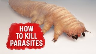 How To Kill Parasites  Dr Berg [upl. by Seyer]