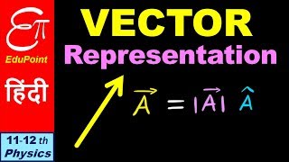 🔴 VECTOR REPRESENTATION  Magnitude and Direction  in HINDI [upl. by Einafets]