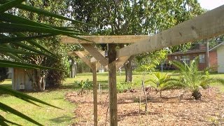 How to Build a quotTquot Trellis [upl. by Borek647]