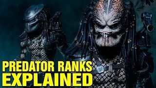 PREDATOR RANK SYSTEM EXPLAINED  YAUTJA SOCIETY AND HIERARCHY [upl. by Cari411]