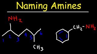 Naming Amines  IUPAC Nomenclature amp Common Names [upl. by Artemed]