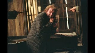 Peter Pettigrew Reveald [upl. by Assirim]