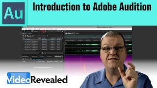 Introduction to Adobe Audition [upl. by Oznohpla]