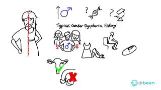 Gender and Communication Differences amp Stereotypes [upl. by Teilo207]