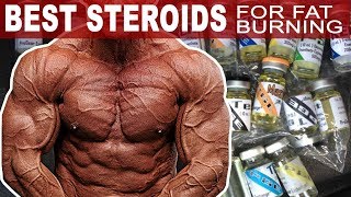 The Best Steroids For Burning Fat [upl. by Gniw327]