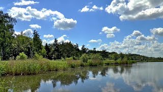 The Secret Life of Wetlands Finding Solutions to Environmental Threats at UMD [upl. by Rist]