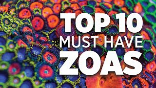 Top 10 Must Have Zoanthids  World Wide Corals [upl. by Alien]