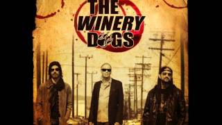 The Winery Dogs  Desire [upl. by Chryste]