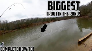 How To CATCH TROUT in Lakes and Ponds GIANT RAINBOW TROUT [upl. by Eugenius]