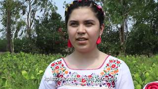 HIMNO NACIONAL MEXICANO EN NAHUATL [upl. by Windham]