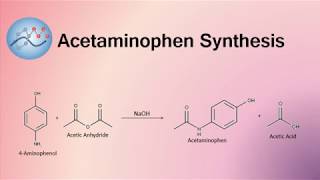 Acetaminophen Synthesis Mechanism  Organic Chemistry [upl. by Are617]