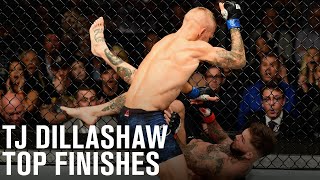 Top Finishes TJ Dillashaw [upl. by Pascal784]