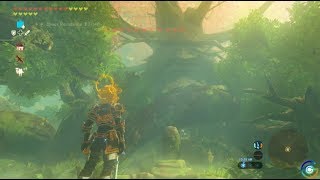 BOTW  The Lost Woods  Walkthrough 48 pt 7 Keo Ruug Shrine [upl. by Nnylirak]