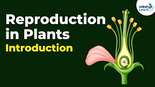 Introduction to Reproduction in Plants  Dont Memorise [upl. by Ideih766]