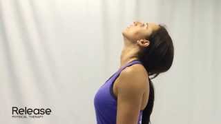 Cervical Spine Retraction amp Extension  McKenzie Exercise for Neck [upl. by Ahcirt808]