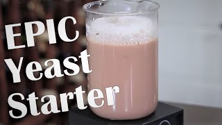 Making a Better Yeast Starter [upl. by Arikal878]