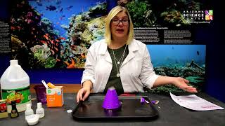 Volcano Challenge Classic Baking Soda and Vinegar Volcano [upl. by Ridglea]