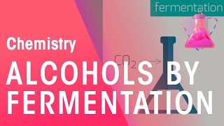 Making Alcohols By Fermentation amp From Ethane  Organic Chemistry  Chemistry  FuseSchool [upl. by Rovert]