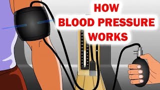 How Blood Pressure Works Animation  Sphygmomanometer  Blood Pressure [upl. by Rosmunda]