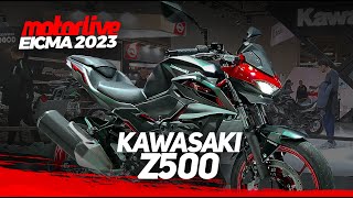 EICMA 2023  KAWASAKI Z500 2024  MOTORLIVE [upl. by Iznyl]