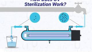 How Does UV Sterilization Work [upl. by Marelda530]