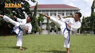 TEKNIK DASAR KARATE [upl. by Elleinod738]