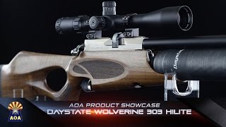 REVIEW  Daystate Wolverine 303 HiLite [upl. by Merralee]