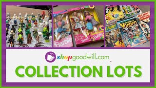 shopgoodwillcom  How We Bundle amp List COLLECTION LOTS [upl. by Eisteb]