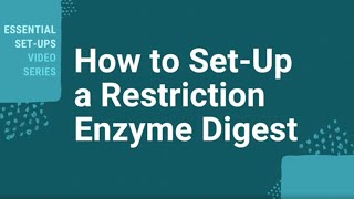 How Do I Setup A Restriction Enzyme Digest [upl. by Atelra]