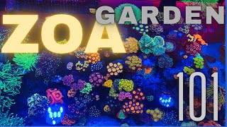 Zoanthid Garden How to [upl. by Inol568]