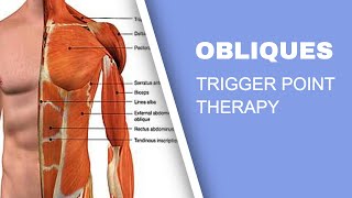 Trigger Point Release Therapy  The Obliques [upl. by Spiro]