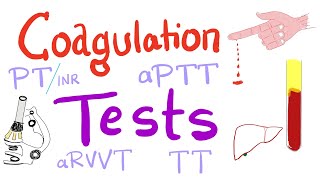 Coagulation Tests  PT aPTT TT Fibrinogen Mixing Studies [upl. by Natty]