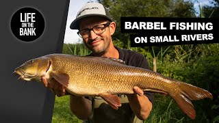 BARBEL FISHING ON SMALL RIVERS [upl. by Arturo]