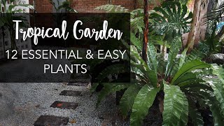 Top 12 MustHave amp Easy Plants for a lush Tropical Garden [upl. by Akihsar92]