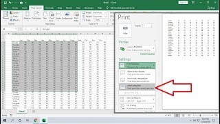 How to Print Only Specific Area Cell or Rows in MS Excel [upl. by Pettifer516]