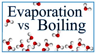 Boiling vs Evaporation Definition Examples amp Explanation [upl. by Giavani593]