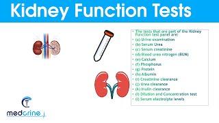 Kidney Function Tests and Interpretation of Results [upl. by Sigismund928]