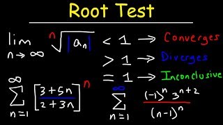 Root Test [upl. by Laehcym]