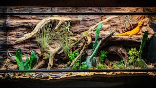 Arid Bioactive Bearded Dragon Vivarium [upl. by Aleta]