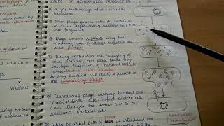 Transduction Genetic recombination in bacteria [upl. by Ailugram]