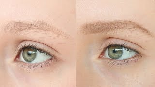 Full Natural Blonde Brows [upl. by Randal525]