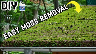 Remove Moss From Roof  DIY  2 Methods [upl. by Aloel]