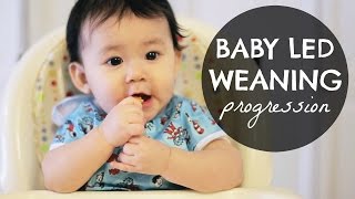 BABY LED WEANING BLW Progression 610 Months [upl. by Etnad803]